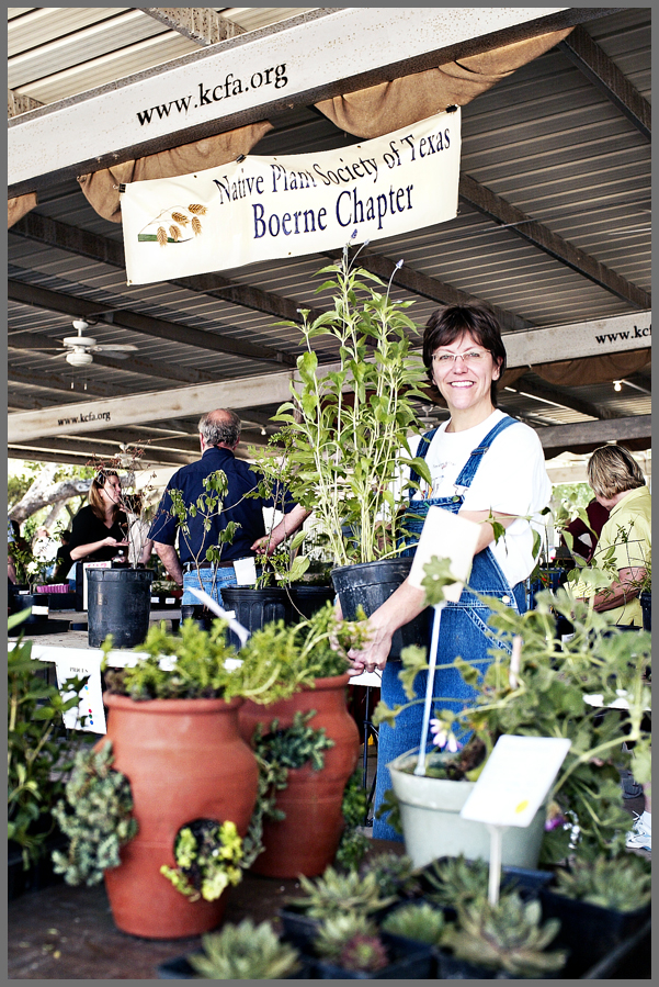 Native Plant Sale Boerne Texas